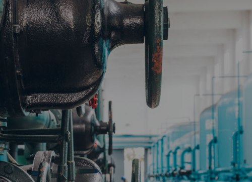 Agronindustrias y Alimentos